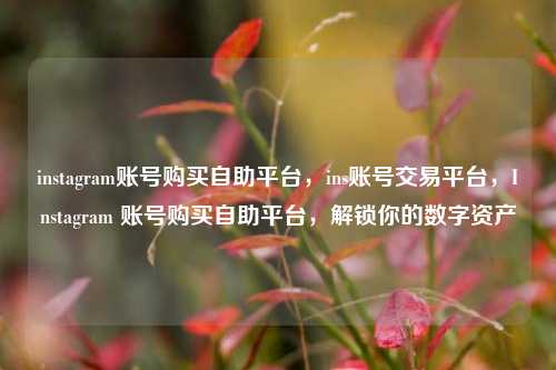 instagram账号购买自助平台，ins账号交易平台，Instagram 账号购买自助平台，解锁你的数字资产