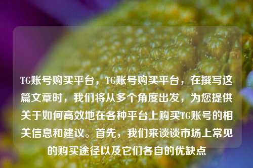 TG账号购买平台，TG账号购买平台，在撰写这篇文章时，我们将从多个角度出发，为您提供关于如何高效地在各种平台上购买TG账号的相关信息和建议。首先，我们来谈谈市场上常见的购买途径以及它们各自的优缺点