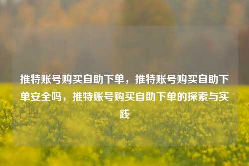 推特账号购买自助下单，推特账号购买自助下单安全吗，推特账号购买自助下单的探索与实践