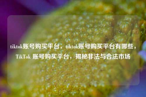 tiktok账号购买平台，tiktok账号购买平台有哪些，TikTok 账号购买平台，揭秘非法与合法市场