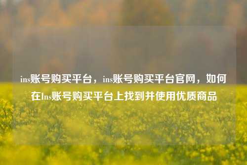 ins账号购买平台，ins账号购买平台官网，如何在Ins账号购买平台上找到并使用优质商品