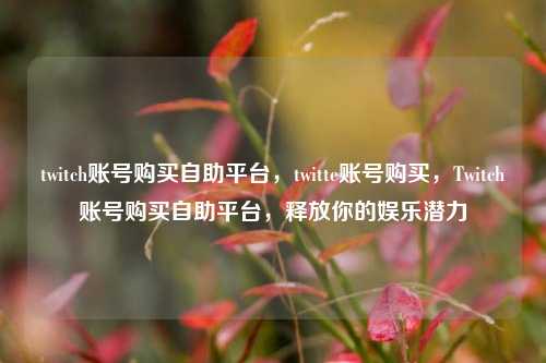 twitch账号购买自助平台，twitte账号购买，Twitch账号购买自助平台，释放你的娱乐潜力