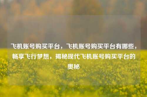飞机账号购买平台，飞机账号购买平台有哪些，畅享飞行梦想，揭秘现代飞机账号购买平台的奥秘