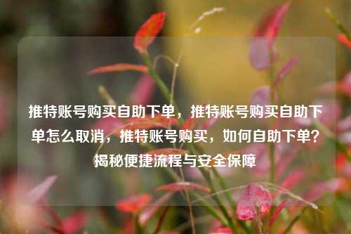 推特账号购买自助下单，推特账号购买自助下单怎么取消，推特账号购买，如何自助下单？揭秘便捷流程与安全保障