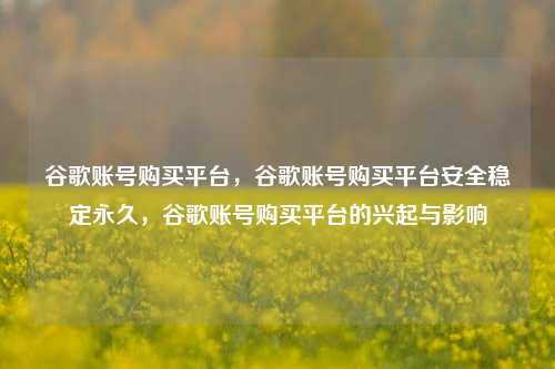 谷歌账号购买平台，谷歌账号购买平台安全稳定永久，谷歌账号购买平台的兴起与影响