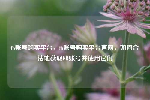 fb账号购买平台，fb账号购买平台官网，如何合法地获取FB账号并使用它们