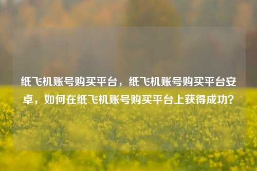 纸飞机账号购买平台，纸飞机账号购买平台安卓，如何在纸飞机账号购买平台上获得成功？