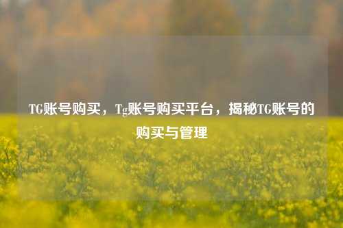 TG账号购买，Tg账号购买平台，揭秘TG账号的购买与管理