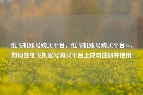 纸飞机账号购买平台，纸飞机账号购买平台15，如何在纸飞机账号购买平台上成功注册并使用