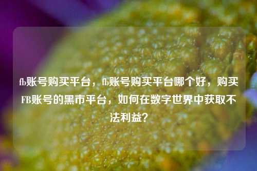 fb账号购买平台，fb账号购买平台哪个好，购买FB账号的黑市平台，如何在数字世界中获取不法利益？
