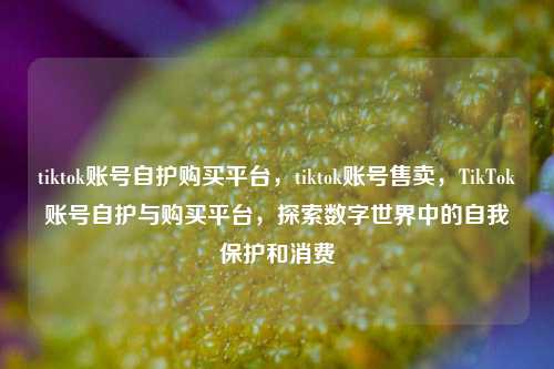 tiktok账号自护购买平台，tiktok账号售卖，TikTok账号自护与购买平台，探索数字世界中的自我保护和消费