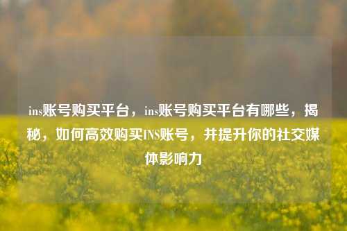 ins账号购买平台	，ins账号购买平台有哪些，揭秘，如何高效购买INS账号	，并提升你的社交媒体影响力  第1张