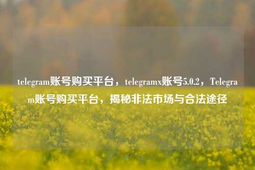 telegram账号购买平台，telegramx账号5.0.2，Telegram账号购买平台，揭秘非法市场与合法途径