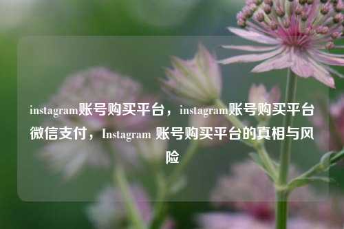 instagram账号购买平台，instagram账号购买平台微信支付，Instagram 账号购买平台的真相与风险