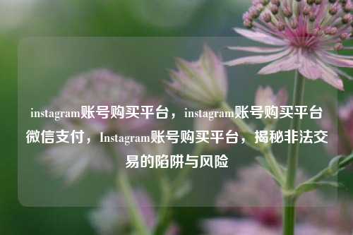 instagram账号购买平台，instagram账号购买平台微信支付，Instagram账号购买平台，揭秘非法交易的陷阱与风险
