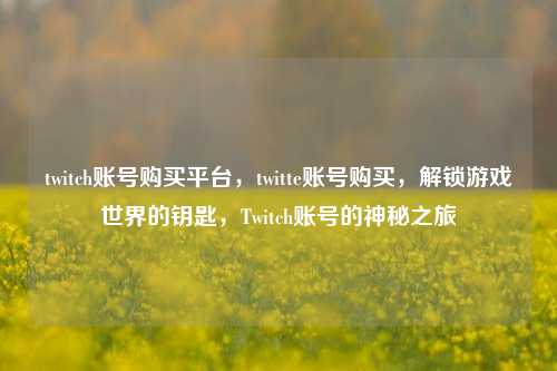 twitch账号购买平台，twitte账号购买，解锁游戏世界的钥匙，Twitch账号的神秘之旅