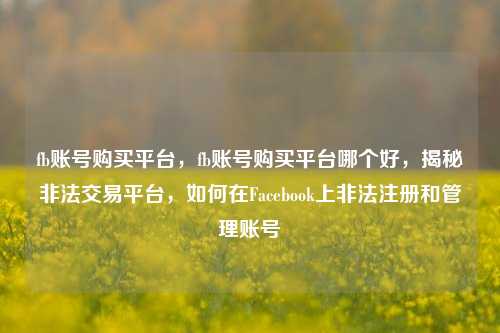 fb账号购买平台，fb账号购买平台哪个好，揭秘非法交易平台，如何在Facebook上非法注册和管理账号