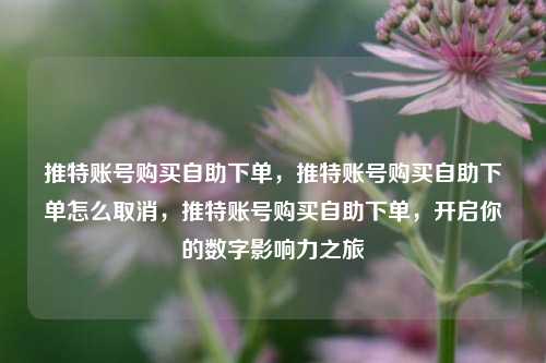 推特账号购买自助下单，推特账号购买自助下单怎么取消，推特账号购买自助下单，开启你的数字影响力之旅