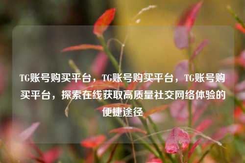 TG账号购买平台，TG账号购买平台，TG账号购买平台，探索在线获取高质量社交网络体验的便捷途径