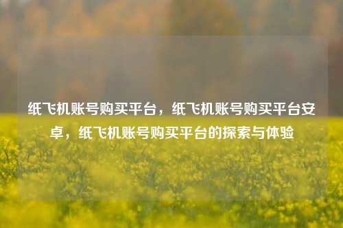 纸飞机账号购买平台，纸飞机账号购买平台安卓，纸飞机账号购买平台的探索与体验