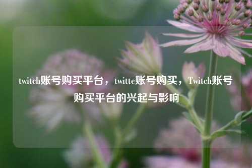 twitch账号购买平台，twitte账号购买	，Twitch账号购买平台的兴起与影响  第1张