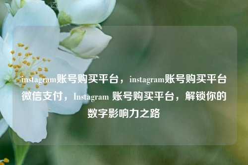 instagram账号购买平台，instagram账号购买平台微信支付，Instagram 账号购买平台，解锁你的数字影响力之路