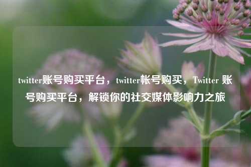twitter账号购买平台，twitter帐号购买，Twitter 账号购买平台，解锁你的社交媒体影响力之旅