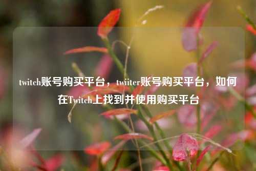 twitch账号购买平台，twiiter账号购买平台，如何在Twitch上找到并使用购买平台