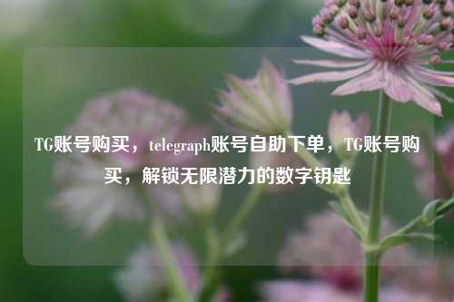 TG账号购买，telegraph账号自助下单，TG账号购买，解锁无限潜力的数字钥匙