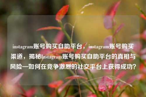 instagram账号购买自助平台，instagram账号购买渠道，揭秘Instagram账号购买自助平台的真相与风险—如何在竞争激烈的社交平台上获得成功？