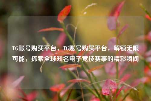 TG账号购买平台，TG账号购买平台，解锁无限可能，探索全球知名电子竞技赛事的精彩瞬间