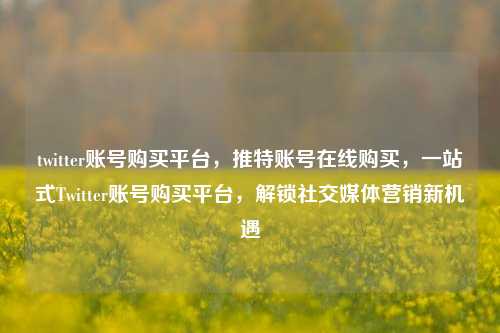 twitter账号购买平台，推特账号在线购买，一站式Twitter账号购买平台，解锁社交媒体营销新机遇