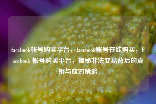 facebook帐号购买平台，facebook账号在线购买，Facebook 帐号购买平台，揭秘非法交易背后的真相与应对策略