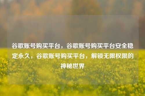谷歌账号购买平台，谷歌账号购买平台安全稳定永久，谷歌账号购买平台，解锁无限权限的神秘世界