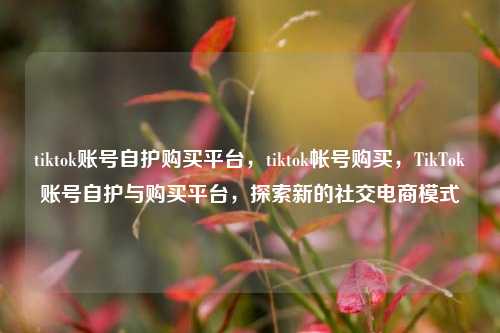 tiktok账号自护购买平台，tiktok帐号购买，TikTok账号自护与购买平台，探索新的社交电商模式