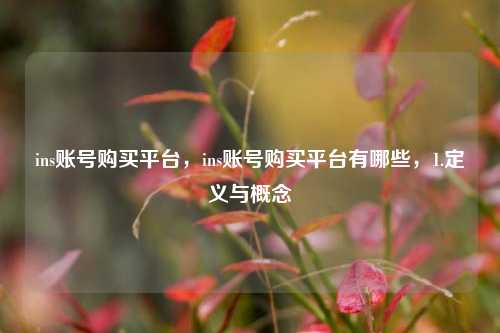 ins账号购买平台，ins账号购买平台有哪些，1.定义与概念