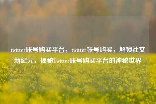twitter账号购买平台，twitter帐号购买，解锁社交新纪元，揭秘Twitter账号购买平台的神秘世界