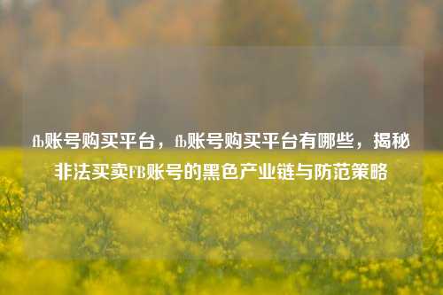 fb账号购买平台，fb账号购买平台有哪些，揭秘非法买卖FB账号的黑色产业链与防范策略