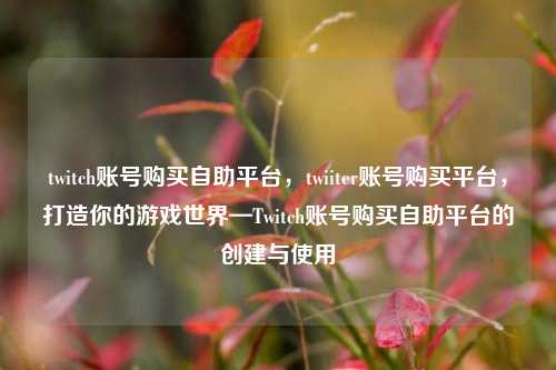 twitch账号购买自助平台，twiiter账号购买平台，打造你的游戏世界—Twitch账号购买自助平台的创建与使用