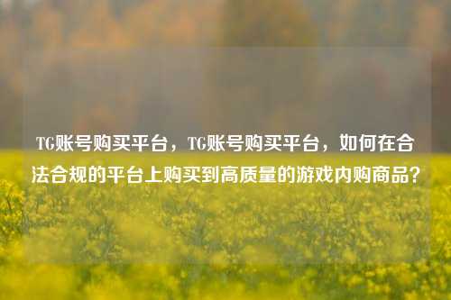TG账号购买平台，TG账号购买平台，如何在合法合规的平台上购买到高质量的游戏内购商品？