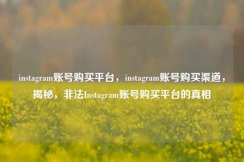 instagram账号购买平台，instagram账号购买渠道，揭秘，非法Instagram账号购买平台的真相