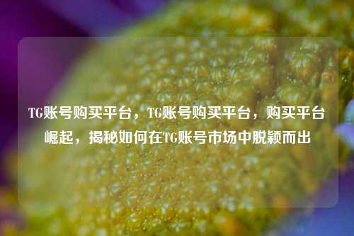 TG账号购买平台，TG账号购买平台，购买平台崛起，揭秘如何在TG账号市场中脱颖而出