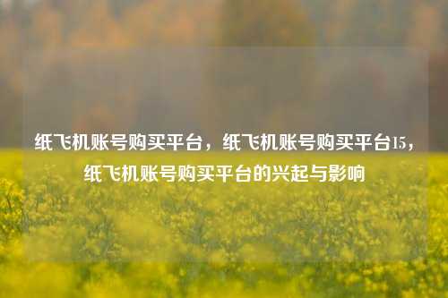 纸飞机账号购买平台，纸飞机账号购买平台15，纸飞机账号购买平台的兴起与影响