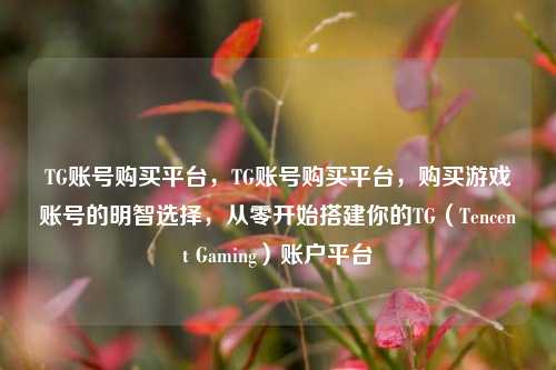 TG账号购买平台，TG账号购买平台，购买游戏账号的明智选择，从零开始搭建你的TG（Tencent Gaming）账户平台