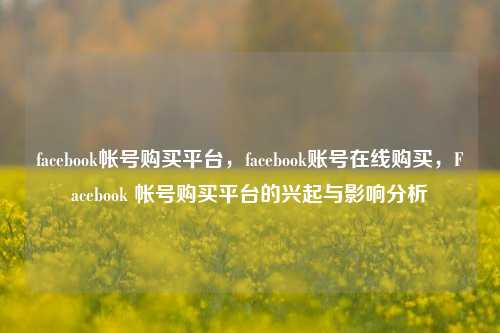 facebook帐号购买平台，facebook账号在线购买，Facebook 帐号购买平台的兴起与影响分析
