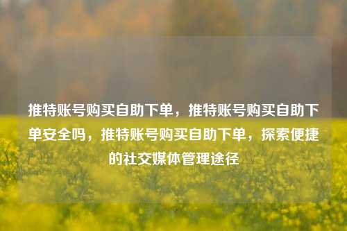 推特账号购买自助下单，推特账号购买自助下单安全吗，推特账号购买自助下单，探索便捷的社交媒体管理途径