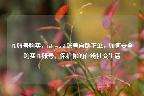 TG账号购买，telegraph账号自助下单，如何安全购买TG账号，保护你的在线社交生活