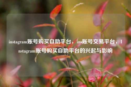 instagram账号购买自助平台，ins账号交易平台，Instagram账号购买自助平台的兴起与影响
