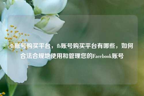 fb账号购买平台，fb账号购买平台有哪些，如何合法合规地使用和管理您的Facebook账号