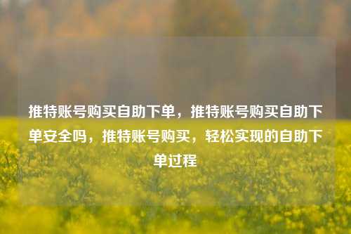 推特账号购买自助下单，推特账号购买自助下单安全吗，推特账号购买，轻松实现的自助下单过程
